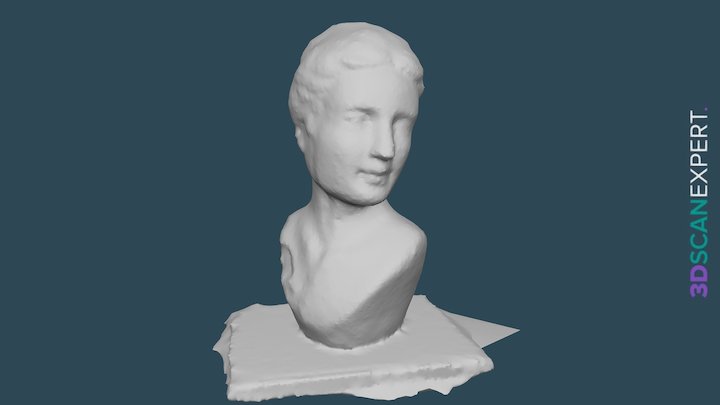 Photogrammetry Software Comparison - A 3D model collection by 3D Scan ...