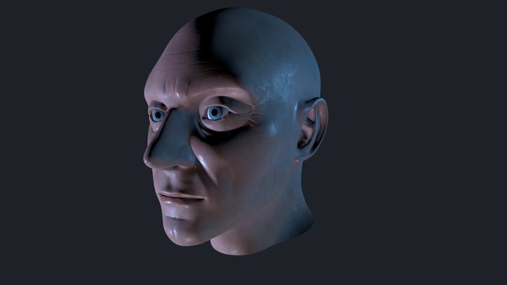 Picard Head 3D Model