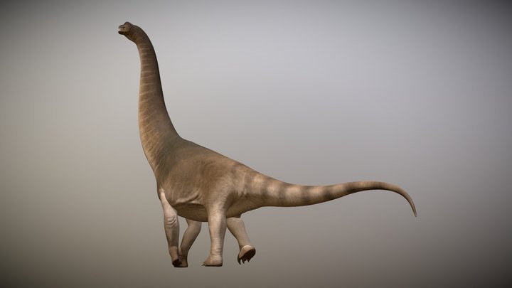 Brachiosaurus Altithorax 3D Model