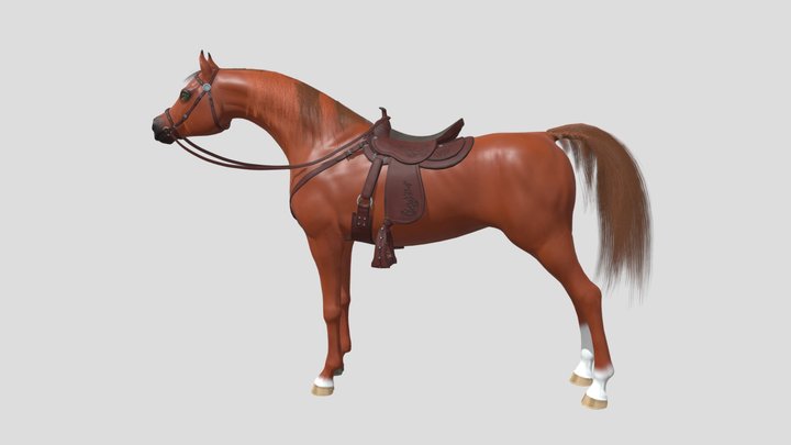 Арабский жеребец 3D Model