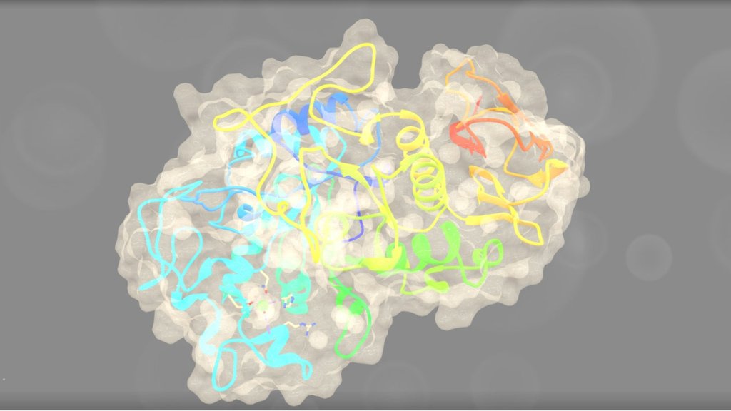 PDB ID: 1SMD - 3D model by Interactive 3D Data (@proteinsimulation ...