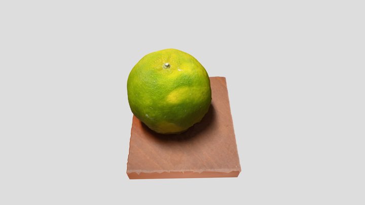 Oranges 3D Model