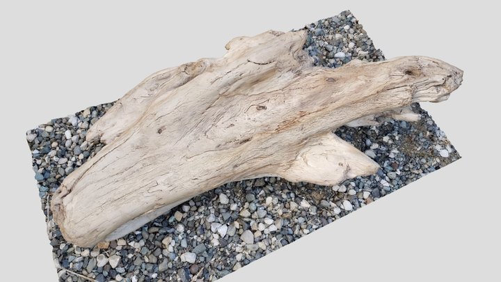 Driftwood 001 (inverted)