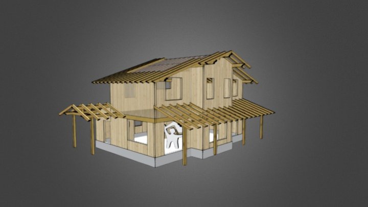 P55 3D Model