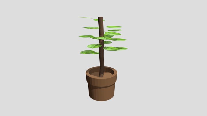 potted plant 3D Model