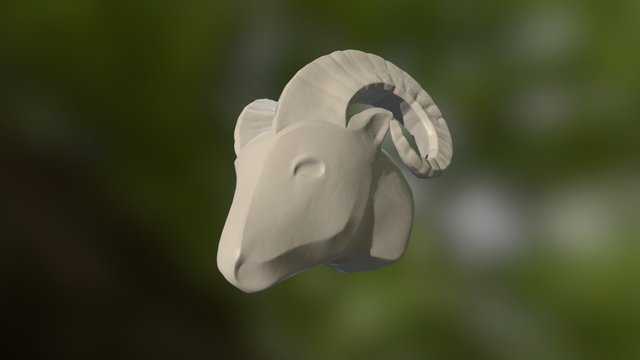 Ram Head 3D Model
