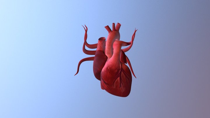 normal_heart 3D Model