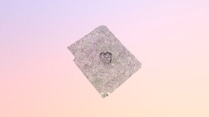 Stump2 3D Model