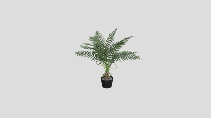 Artificial Fern Cyathea 90 Cm – Modelo 3D gratuito STL