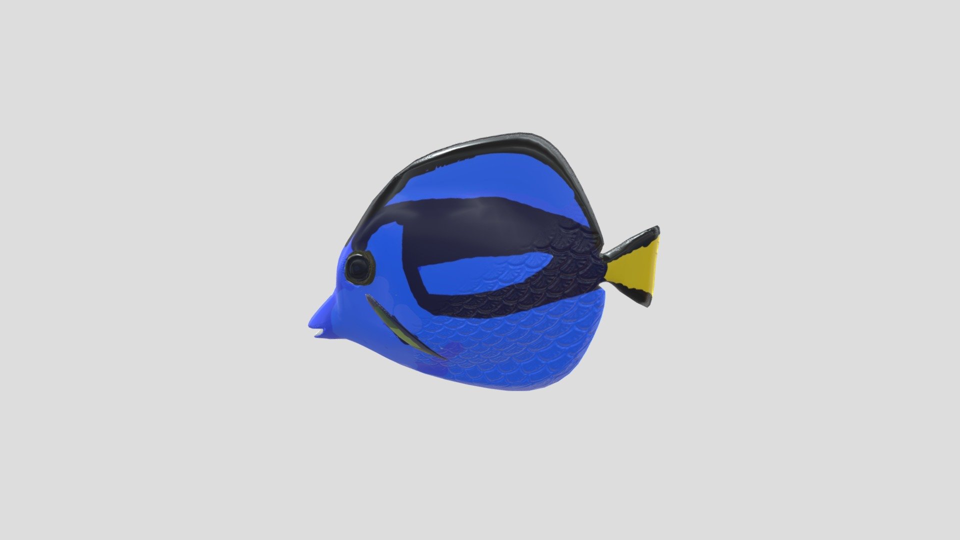 Fish - Download Free 3D model by vgurbanov [a2b3e93] - Sketchfab