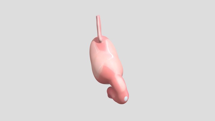 Lambung 3D Model