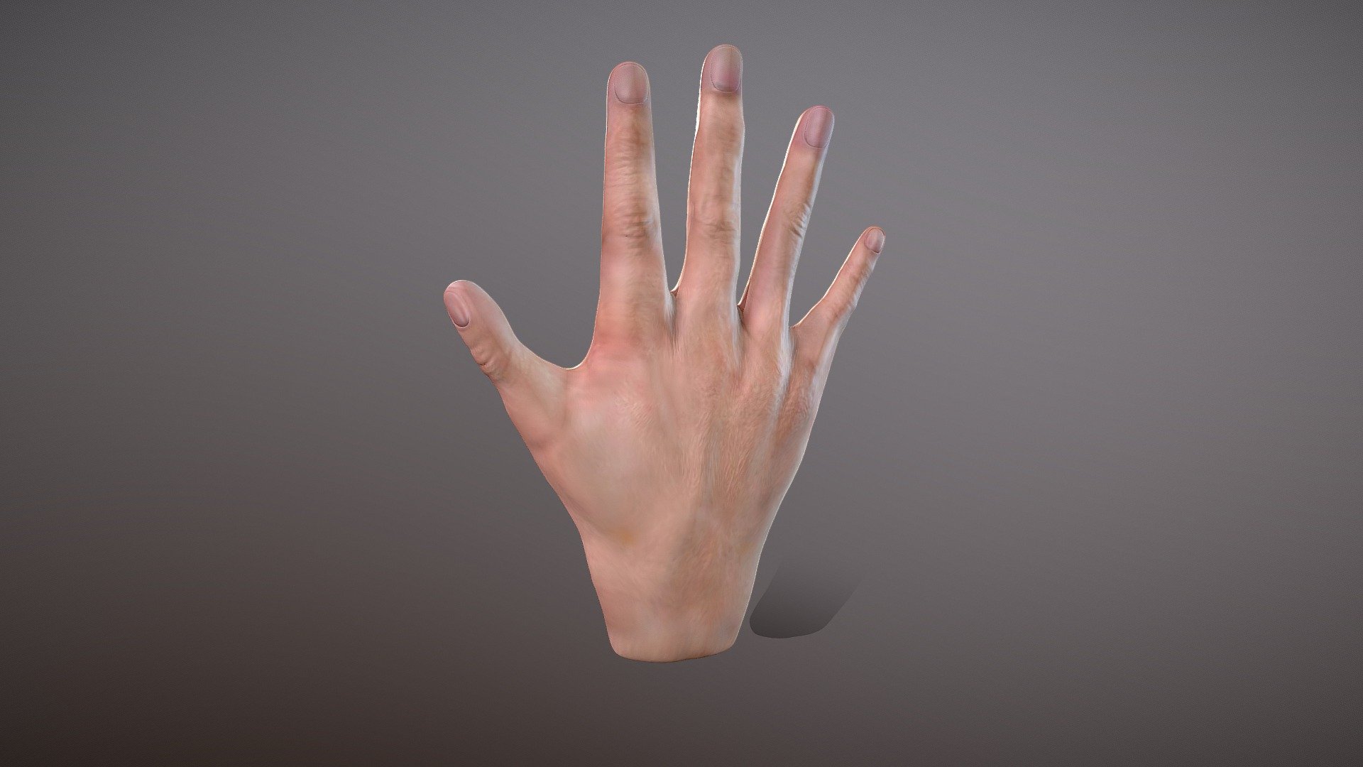 Hand painting - 3D model by Killian.Orhan [a2b58d8] - Sketchfab