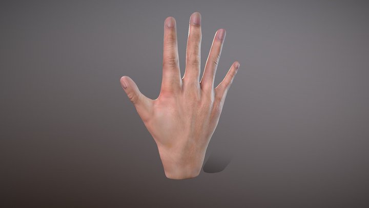Hand painting 3D Model