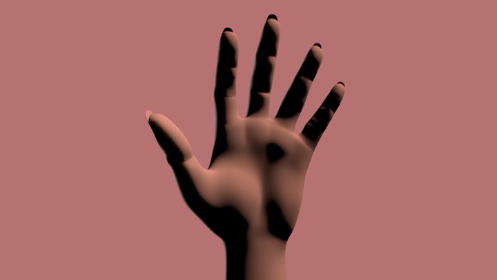 hand 3D Model