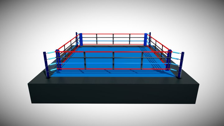 Professional Boxing Ring 3D Model