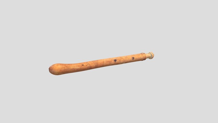 Exponat_Cincu_1 3D Model