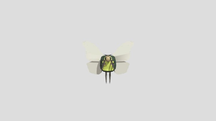 Moth Turtle 3D Model