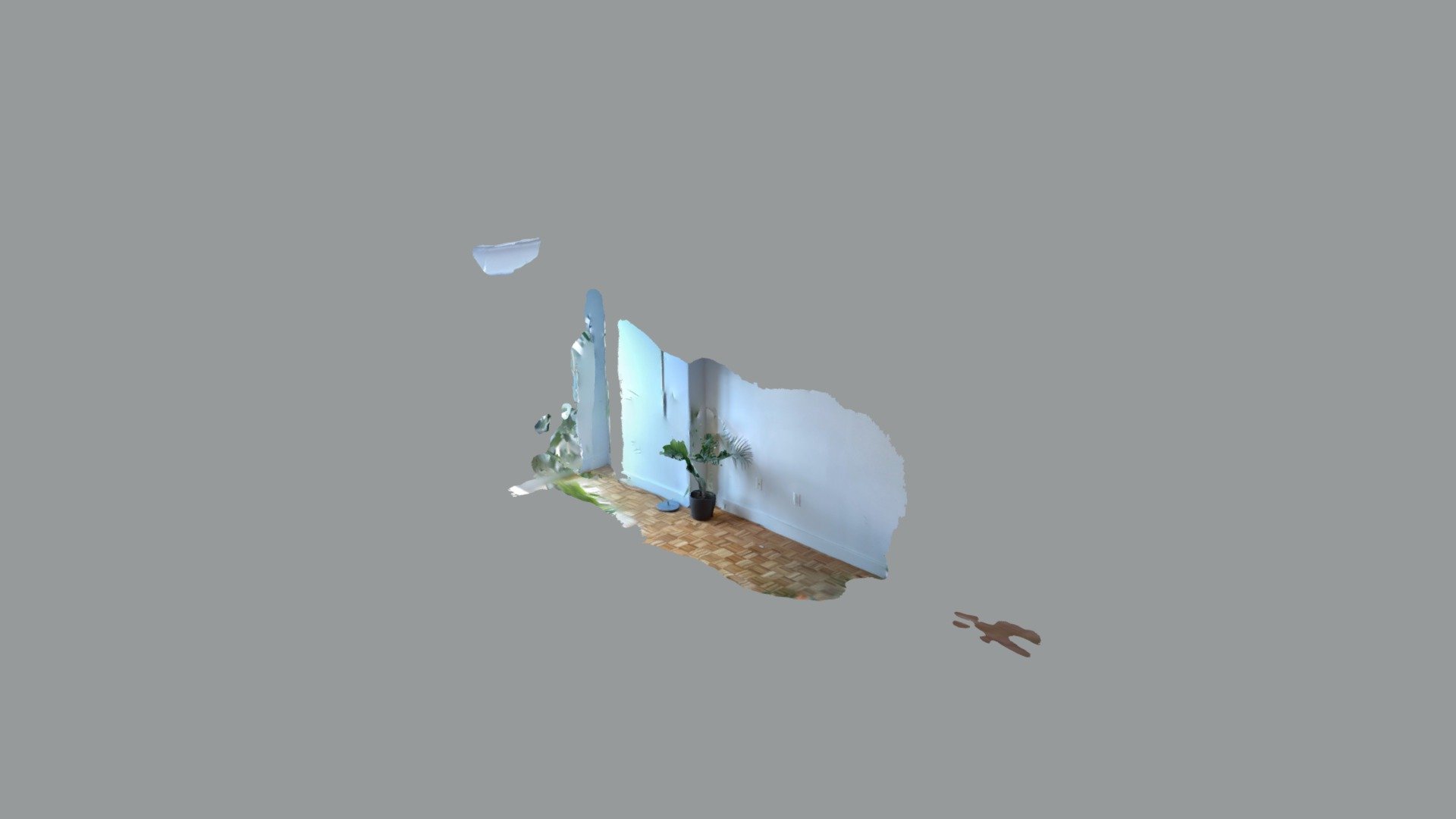Plant