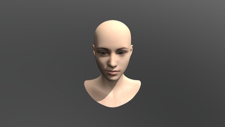 Testina Finale 3D Model