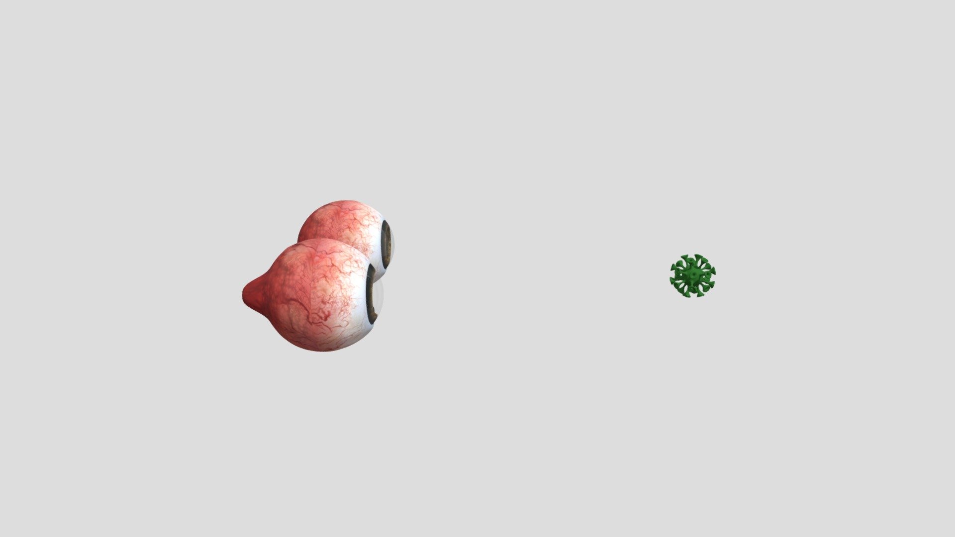 Eye Anatomy Model Full & Cross Section - 3D model by naajaw [a2c80a4 ...