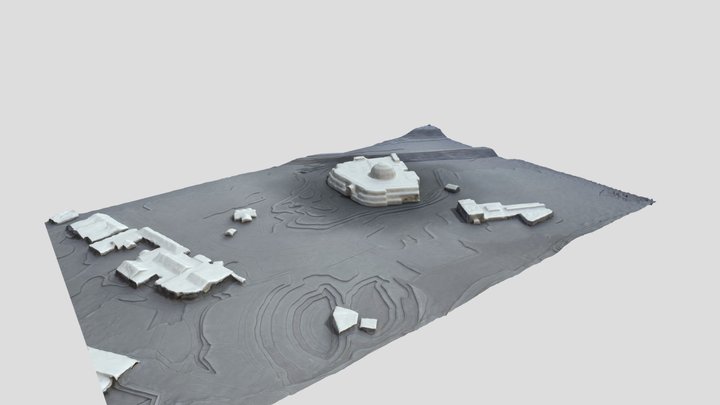 Rainforest Area 3D Model