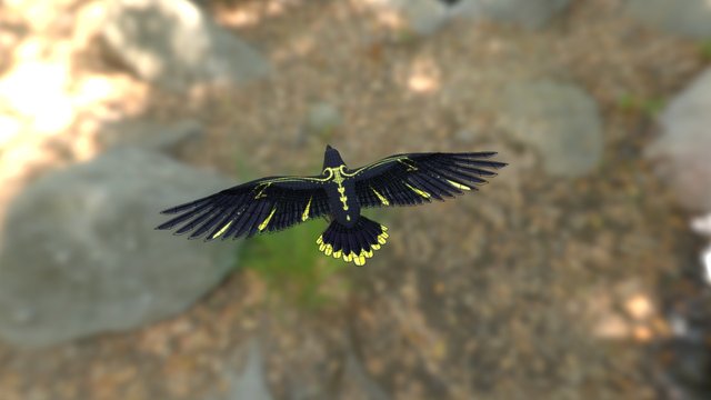 Raven for Namara Game Project 3D Model