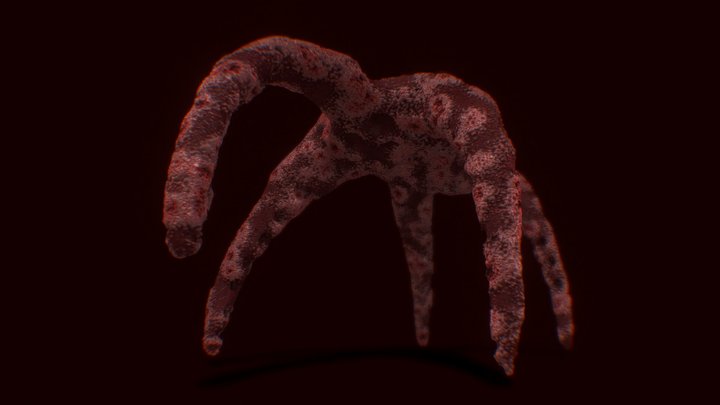 Starfish 3D Model