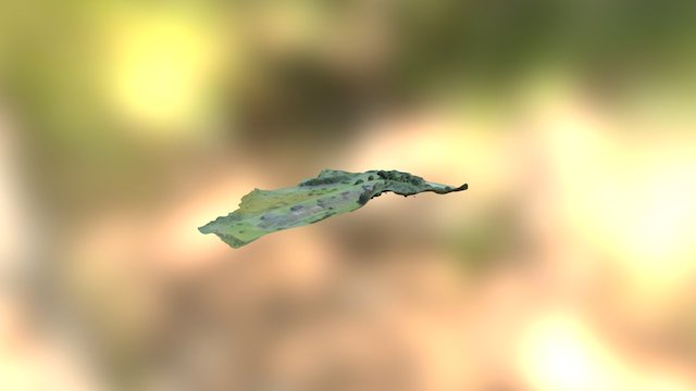 Zona Arqueológica de Tzintzuntzan Michoacán 3D Model