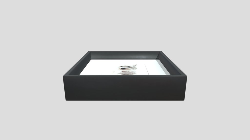 Ikea Sannahed Picture Frame
