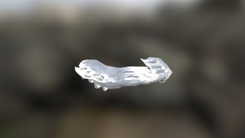 Bernie Upper Jaw