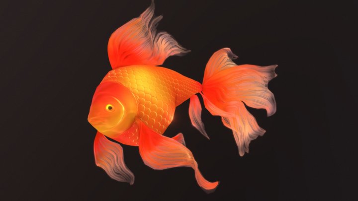Gold Fish 3D Model