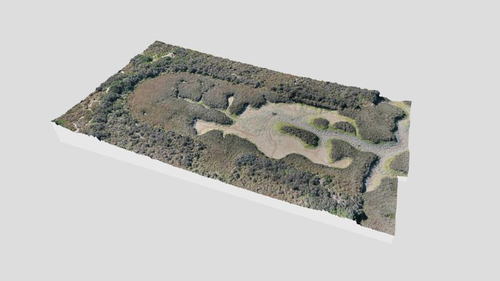 Dique del Real Consulado - Isla del Trocadero 3D Model
