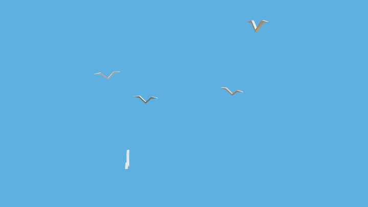 Seagulls 3D Model