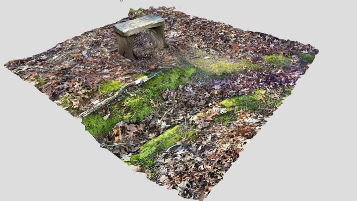 Rustic Bench 3D Model