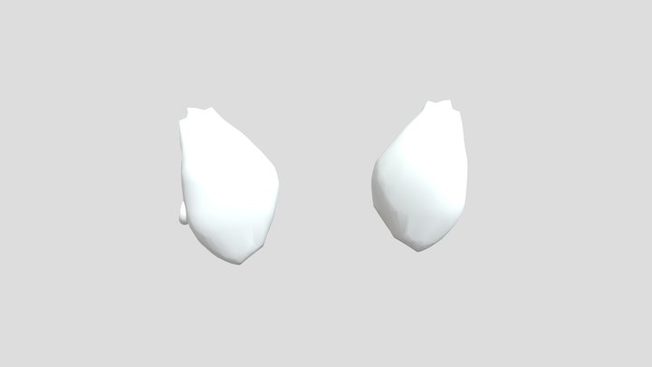 Aphmau-ein-ears 3D Model