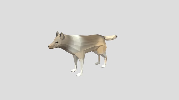 Wolf Low Poly 3D Model