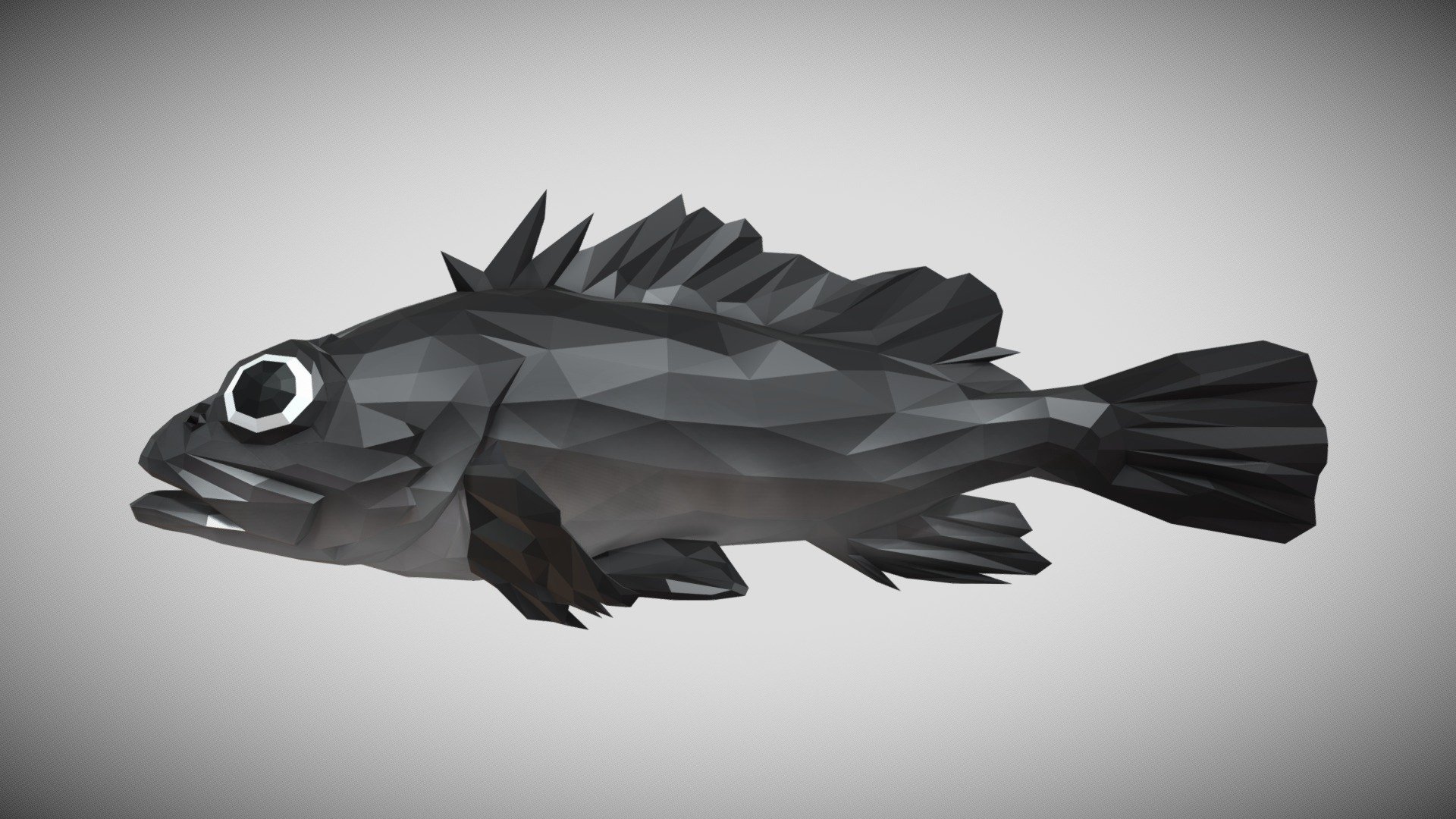 Low Poly Sebastes Buy Royalty Free 3d Model By Jiffycrew A2e4a6b Sketchfab Store