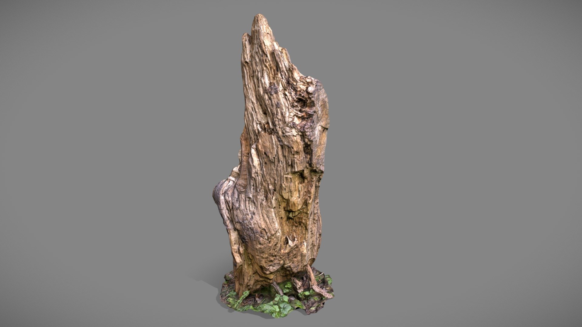 Stump 3d Model By Johnchop A2e553a Sketchfab 7497