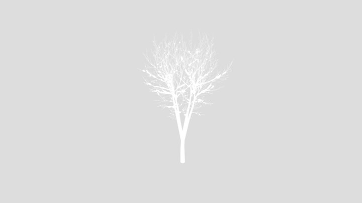 Tree With Snow – Kostenloses 3D-Modell STL