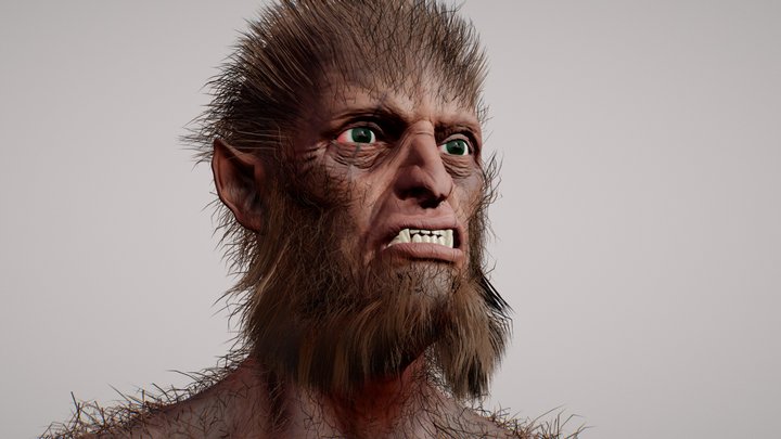 WolfMan 3D Model