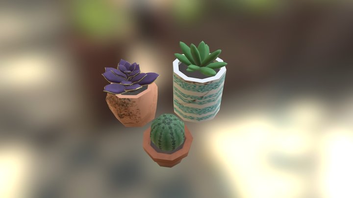 Succulant Plants 3D Model