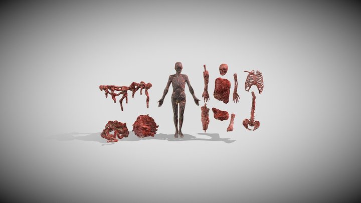 BYOB_Body_Parts 3D Model