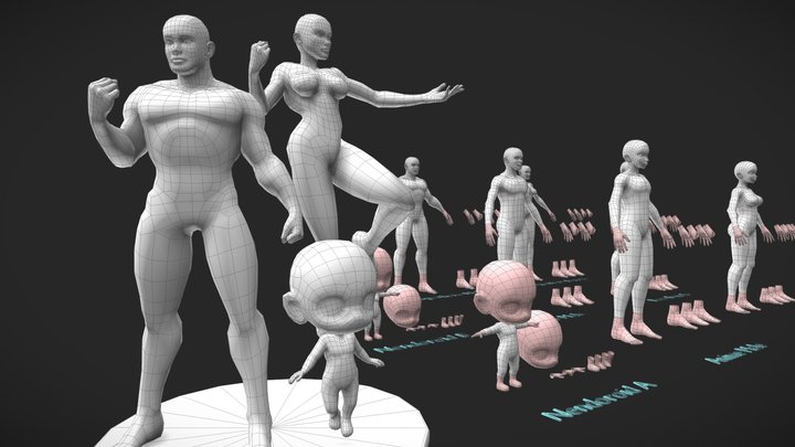 Base Meshes Character Starter Kit + Rig 3D Model