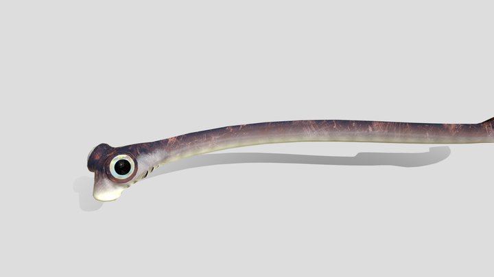 Conodont Clydagnathus 3D Model
