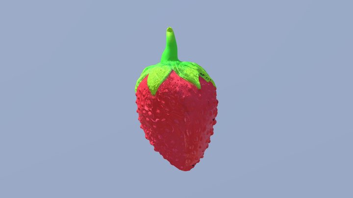 Orgranita 3D Model