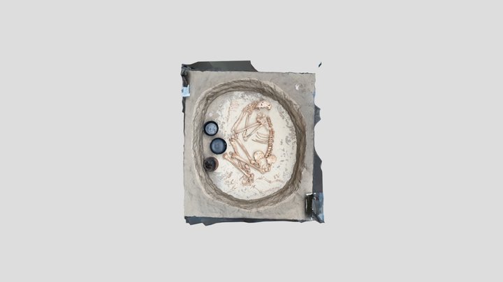 Reconstructed Kerma Burial - British Museum 3D Model