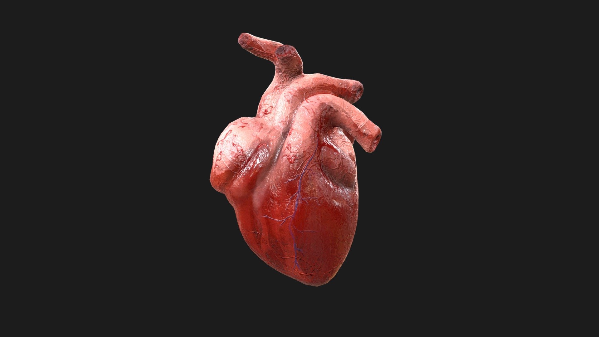 Heart Beating - 3D model by Francisco.Lucas [a2f0f5e] - Sketchfab