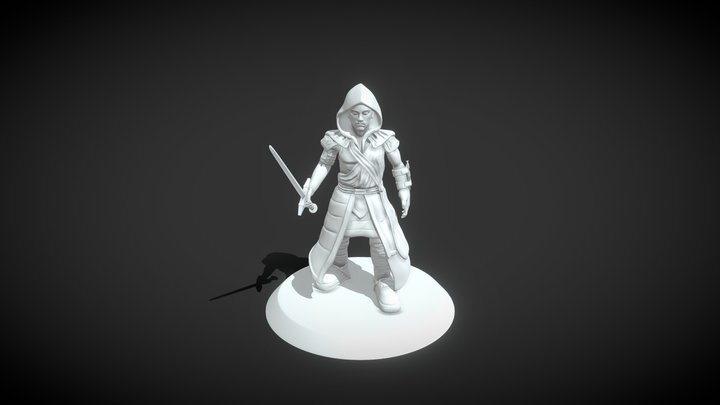 assassin 3D Model
