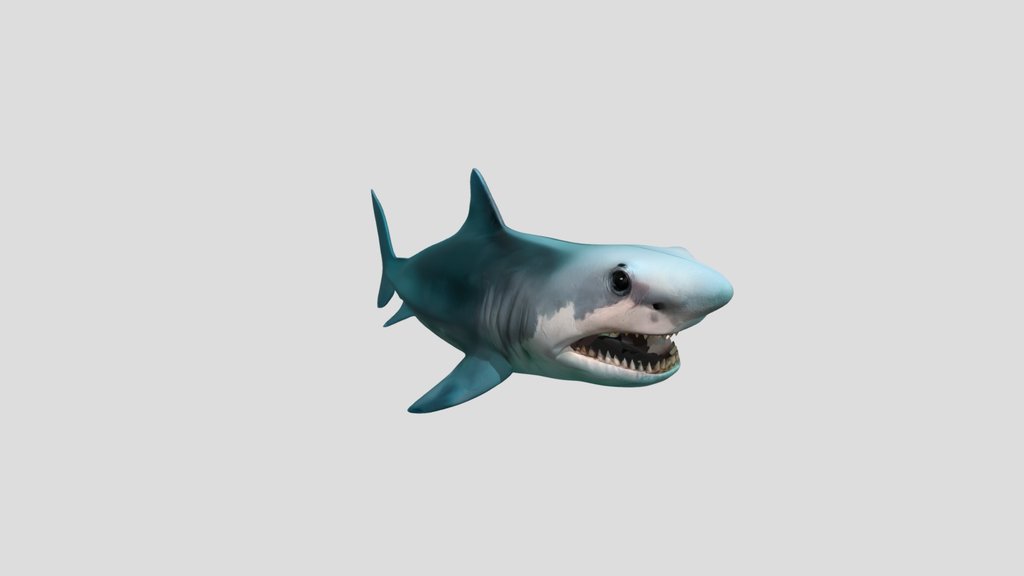 Megalodon Shark Creature