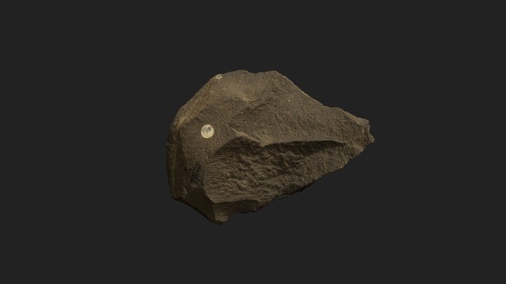 KNM-4086-stone-axe 3D Model
